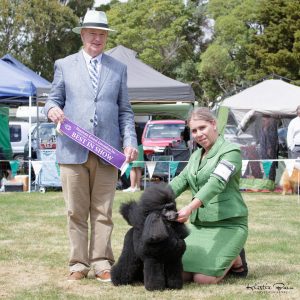 Carter Best in Show